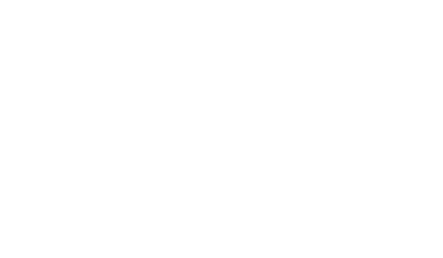 COMIDA BRASIL
