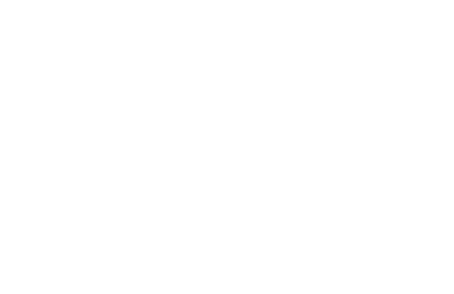 COMIDA BRASIL