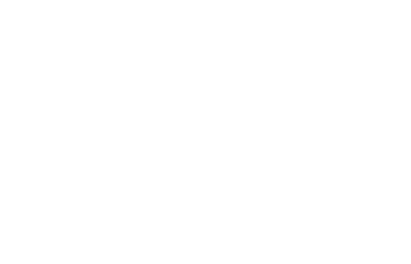 COMIDA BRASIL